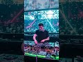 Ignite the Vibes