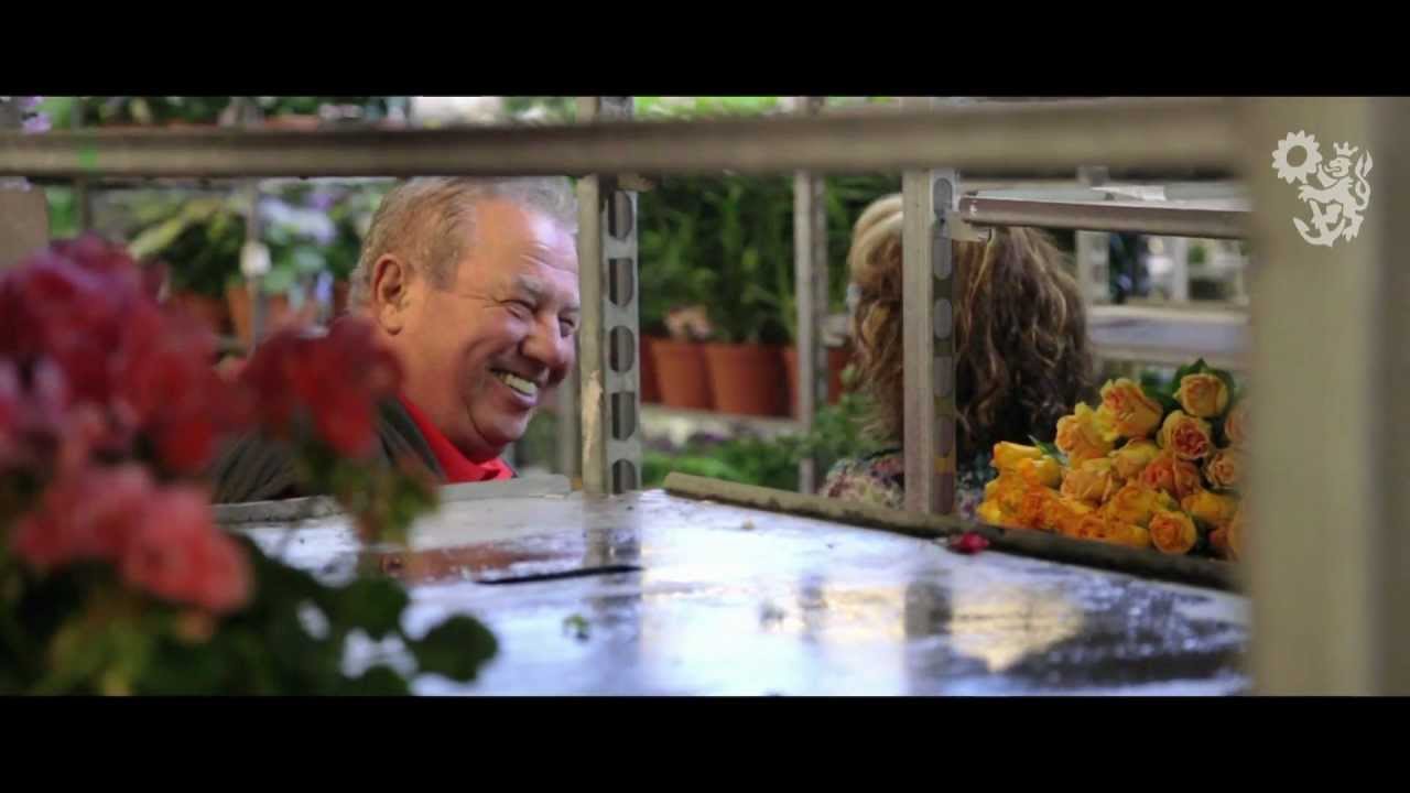 Blumengroßmarkt Düsseldorf: Regionale Frische für Beet und Balkon