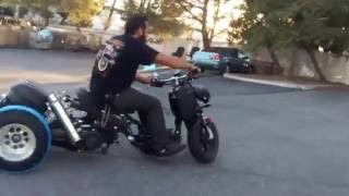 maddog drift dog