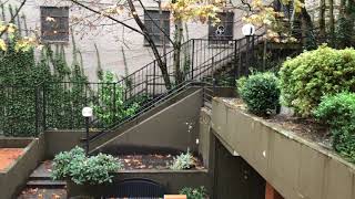 Seventh and James Apartments - Seattle - 1 Bedroom Jefferson 212