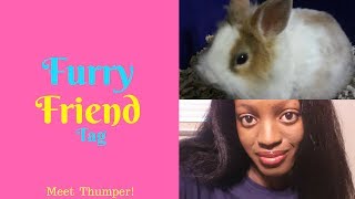 Furry Friend Tag Thumper