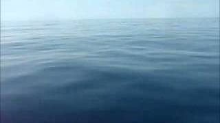 Relaxing Trip On A Flat Ocean on a Head Boat out of the Carolinas