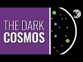 Mysteries of the Dark Cosmos
