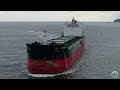 Bulk Carrier Antwerpia - 14/02/25