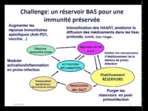 Primoinfection et immunité