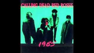 Calling Dead Red Roses - Straight Forward