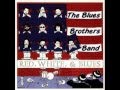 The Blues Brothers Band - Never Found A Girl