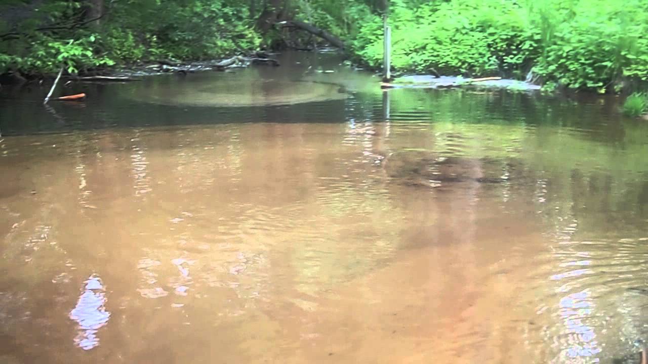 Eagle Creek Boiling Springs Savage MN YouTube