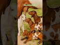 #Bakra eid ki baten