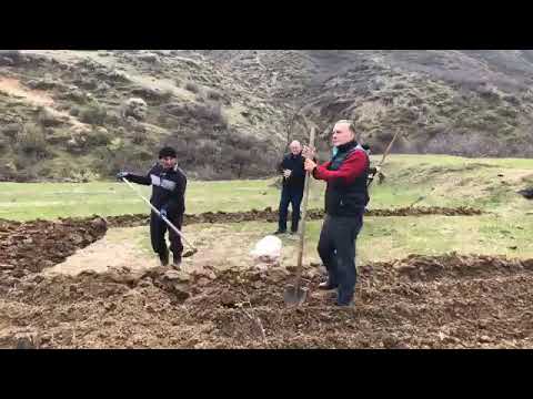 500 ლარიანი სახნავ - სათესი პაკეტი გლეხებს,  ,,კორონა შიმშილის\" წინააღმდეგ