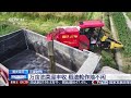 [新闻直播间]三夏时节 重庆梁平 万亩油菜迎丰收 稻油轮作地不闲 | 新闻来了 News Daily