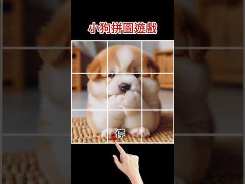 【九宮格】小狗拼圖遊戲。