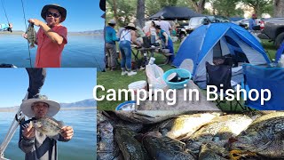 Camping & Fishing in Bishop CA. July 2025
