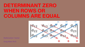 Determinant Zero When Rows or Columns Are Equal