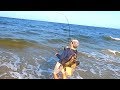 Topwater Popper Surf Fishing! (I Wasn't Expecting This to Happen)