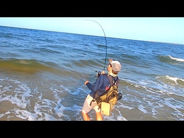 Topwater Popper Surf Fishing! (I Wasn't Expecting This to Happen) 