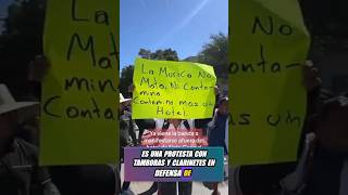 Mazatlán Sale A Defenderse De Los Hoteleros