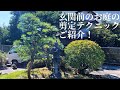 【黒松の剪定 #27】玄関前のお庭の一角を綺麗に変身！透かし剪定や強剪定などの本格剪定テクニックのご紹介！