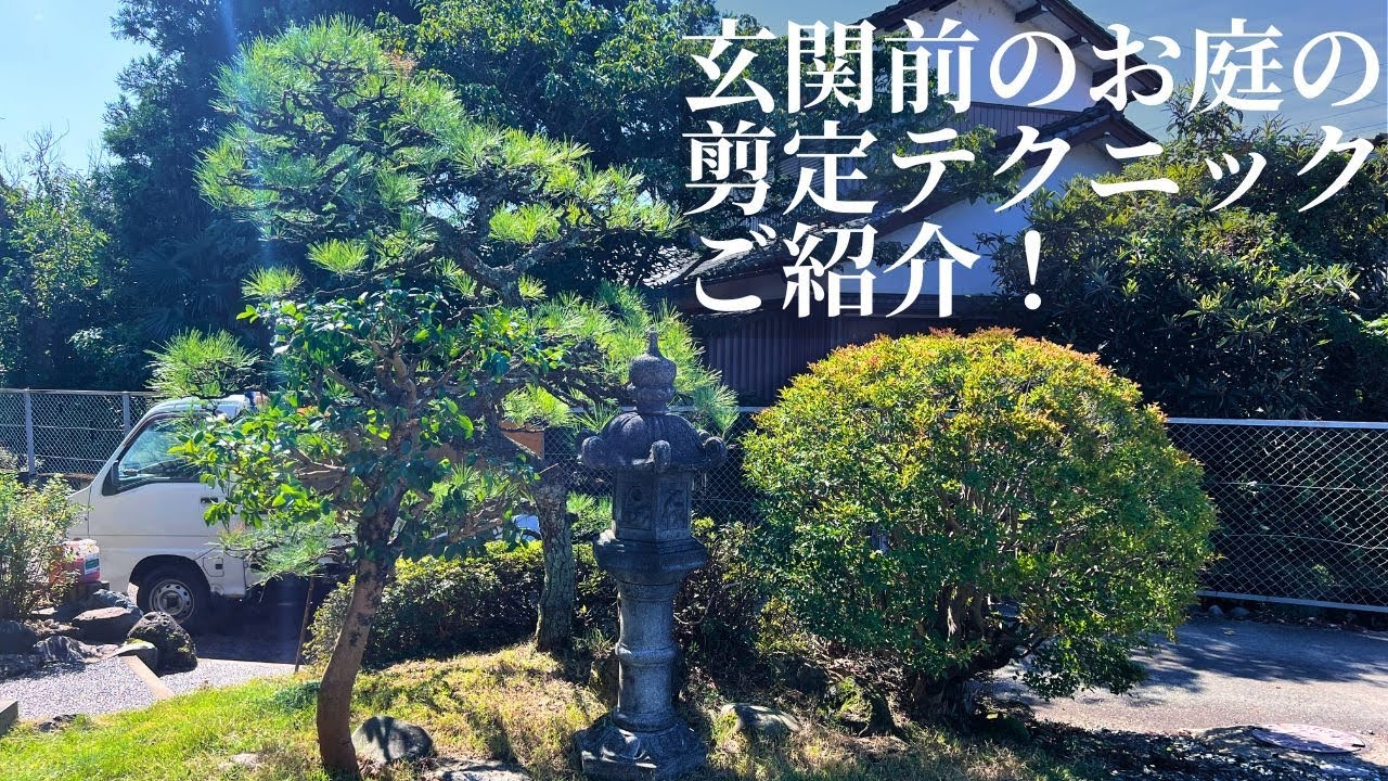 【黒松の剪定 #27】玄関前のお庭の一角を綺麗に変身！透かし剪定や強剪定などの本格剪定テクニックのご紹介！