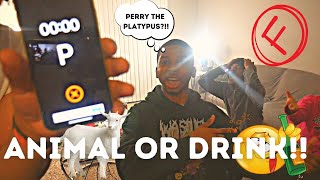 JBROTHECHOSEN DOES ANIMAL OR DRINK!!!