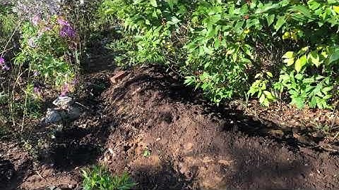 Coir Mesh is a Fibrous Material that is Natural - Bank Stabilization Project - Post Installation