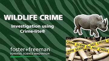 Uncover the Secrets of Wildlife Crime Investigation with Crime-lite®!