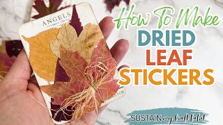 How to Make Pressed Leaf Stickers (Pretty Fall Decoration)