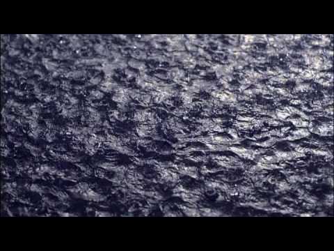 what we know is a drop -part 1