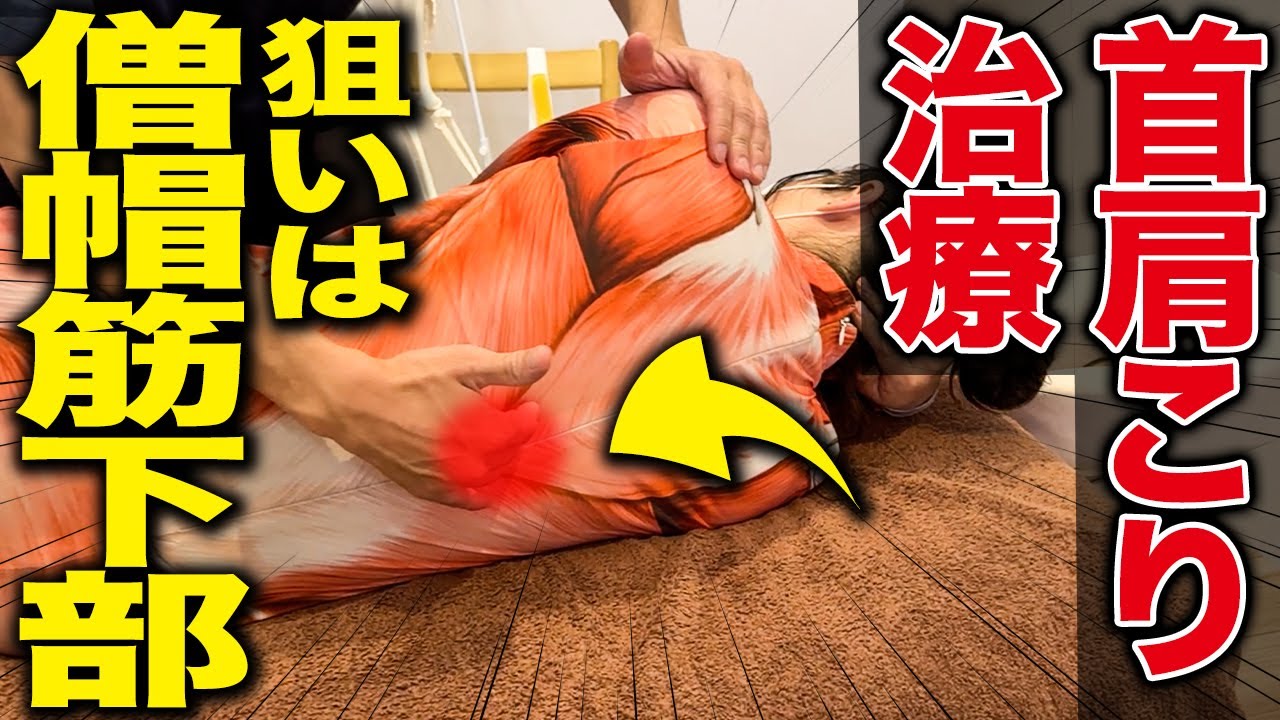 【これだけ見て】首肩コリ治療で肩を狙ってませんか？真の原因は僧帽筋の下部です！