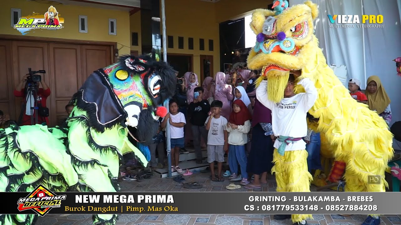 AKSI BARONGSAI ( UNYU UNYU ) ~ BUROK DANGDUT MEGA PRIMA SHOW GRINTING BULAKAMBA 25/06