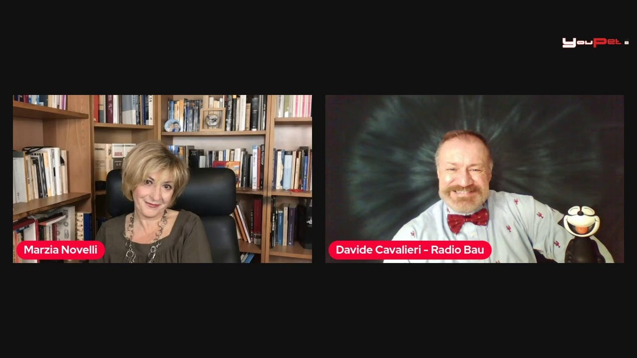 Vito il gatto bionico a "La città dei gatti"