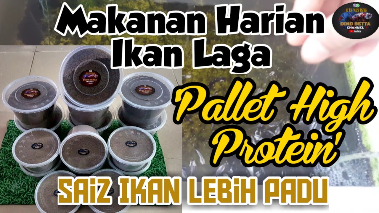 Makanan Harian Ikan Laga | Pallet High Protein | Saiz Ikan Lebih Padu