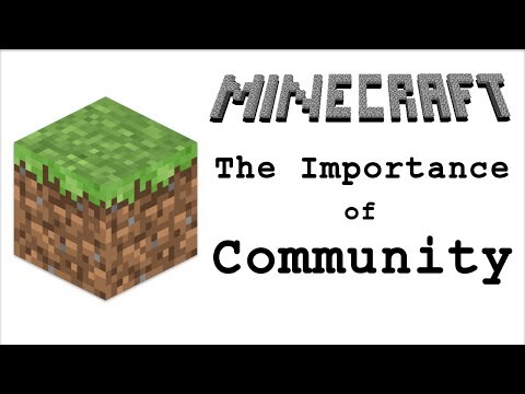 Minecraft: The Importance of Community in Gaming