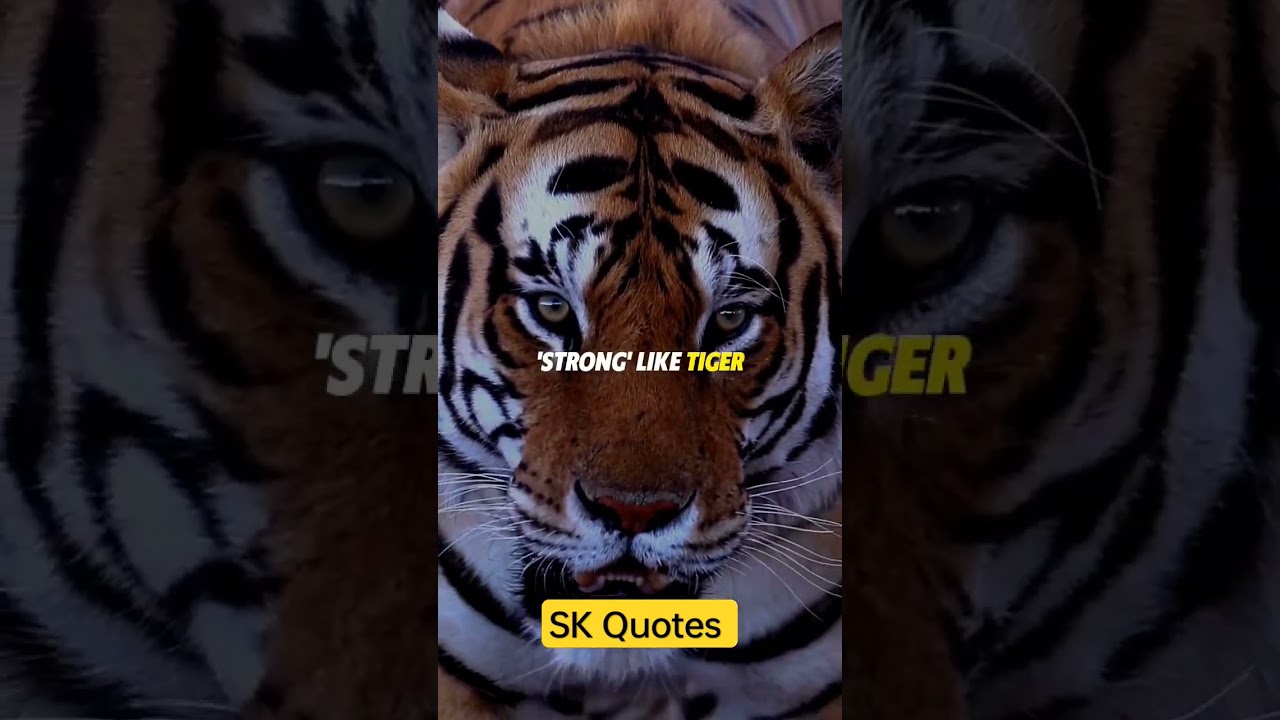 strong like a tiger 💪 