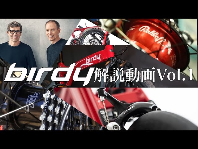 Birdy Explained: Vol. 1 - YouTube