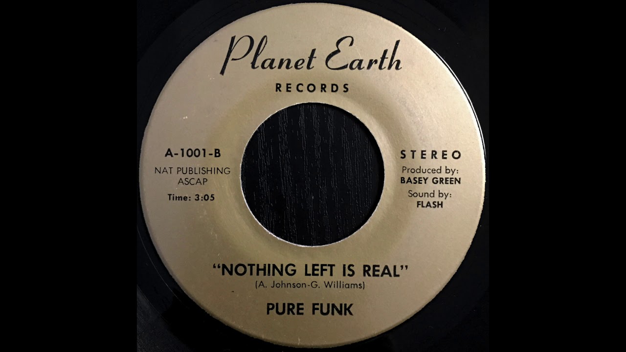 Pure Funk - Nothing Left Is Real