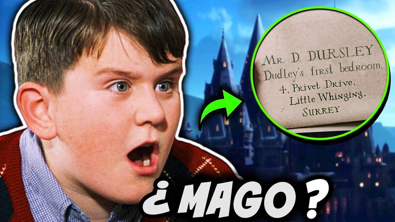 ¿Y Si Dudley Dursley Hubiera Ido a Hogwarts? – Teoría de Harry Potter
