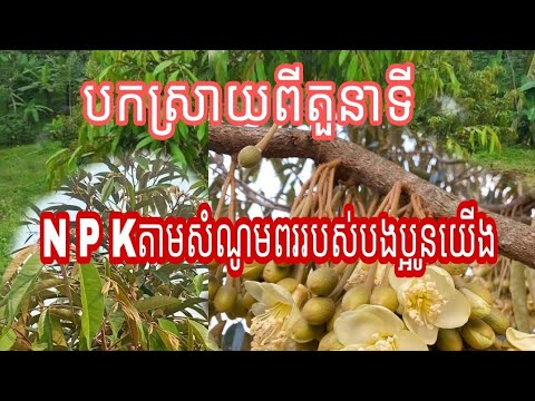 #សំខាន់ណាស់: បង្ហាញជូនពីតួនាទី N P K ក្នុងសរីរ:រុក្ខជាតិបែបភាសាកសិករនិងវត្ថុធាតុដើមដែលជីទាំងនេះមានផង