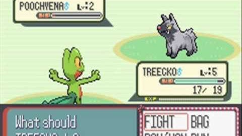 Pokémon Ruby | Skitty Solo Run | Part 1: Meet The Kitten