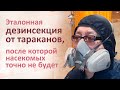 Дезинсекция от тараканов в Ясенево, после которой прусаков точно не останется