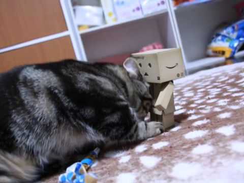 おれ、ねこ 出演:ジュラルミン