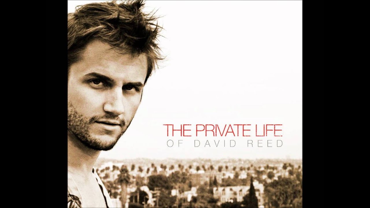 The Private Life Of David Reed - The Differences