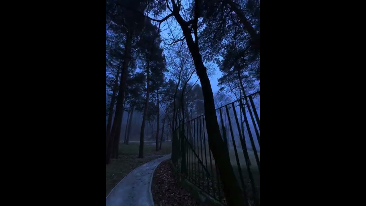 Это песня😍 