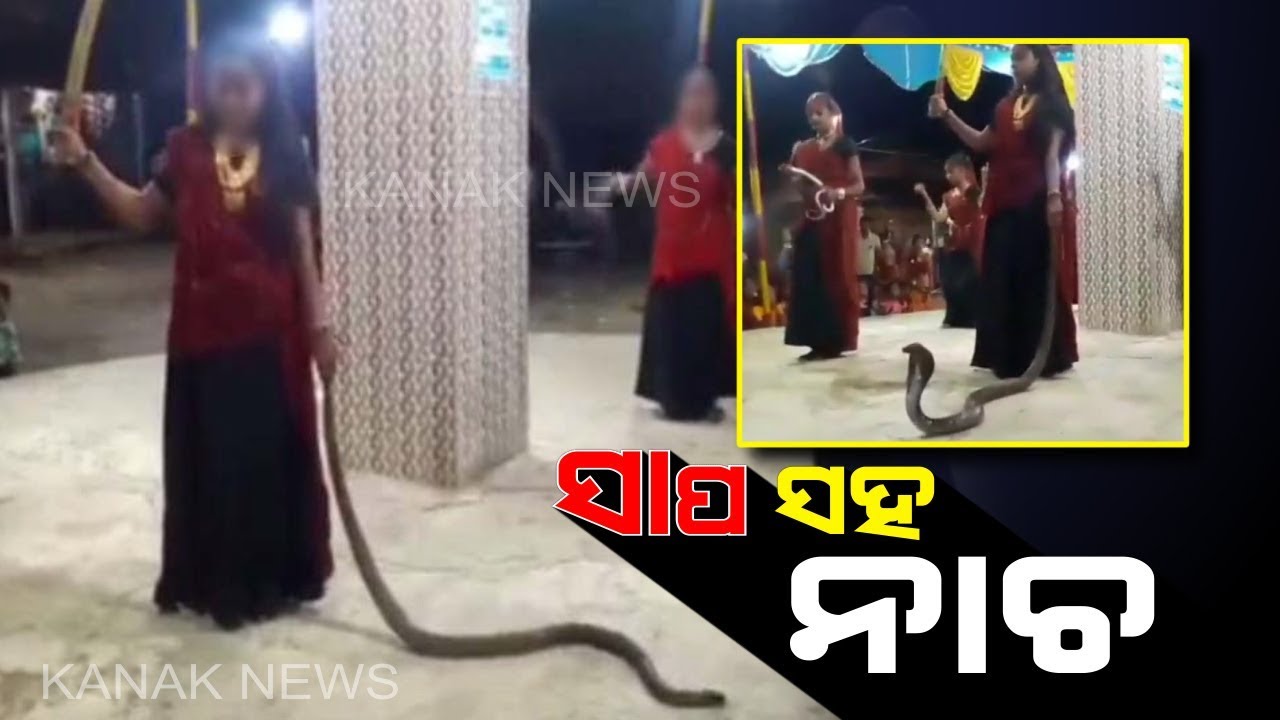 kanak tv serial Women Perform Garba With Snakes In Gujrat's Jungarh, Five Held