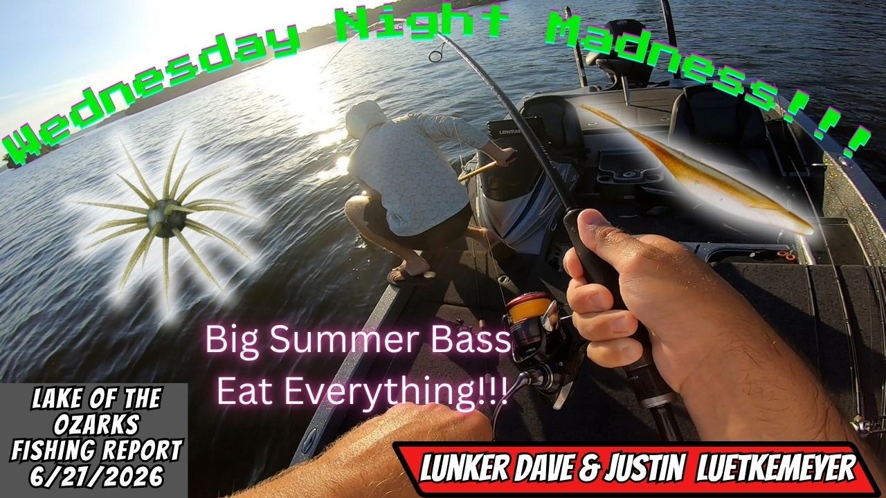 Big Summer Bass Bite Everything! Lake of the Ozarks Fishing Report & Wednesday Nighter July 1st