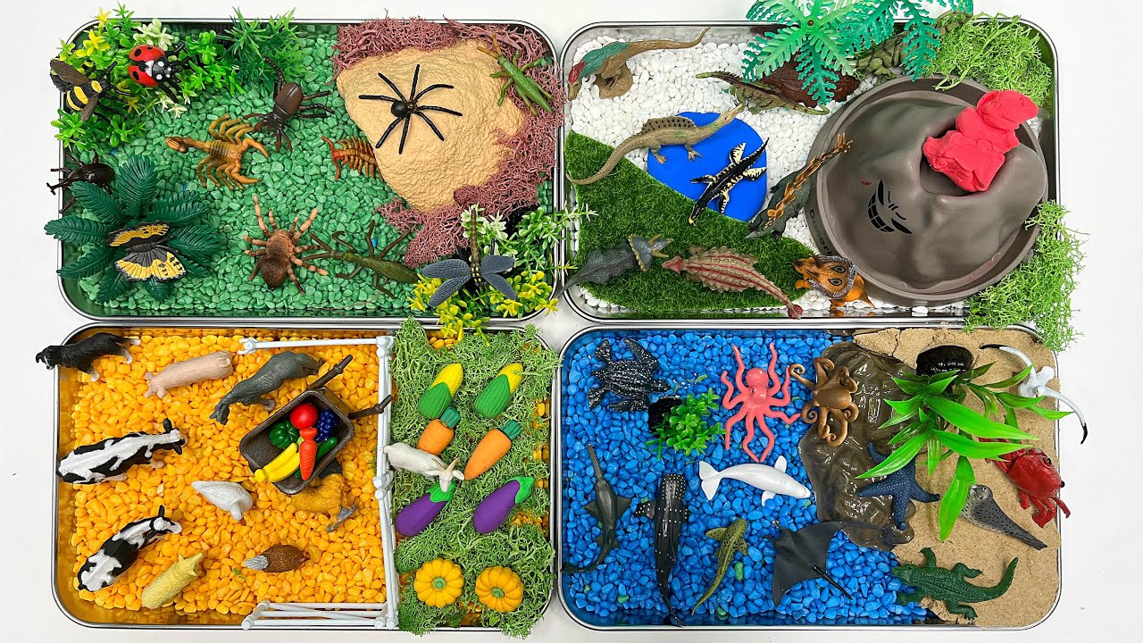 4 Type Small World Diorama For Animals | Sea Farm Bugs Dinos World