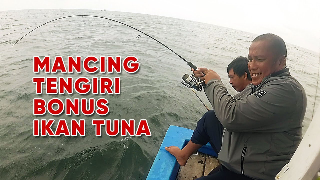 MANCING TENGIRI DAPAT BONUS IKAN TUNA DI PULAU SERIBU #mancingmania