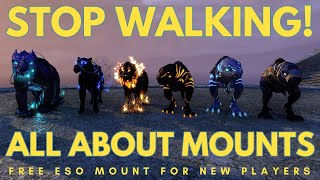 Your Free ESO Horse: What You NEED to Know About Mounts
