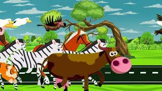 Funny Animals Jungle Adventure Animals Stampede