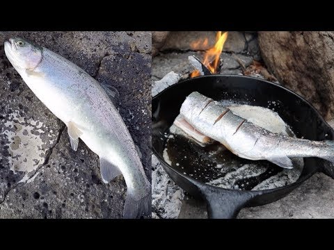 Catch n' Cook Rainbow Trout Over an Open Fire!